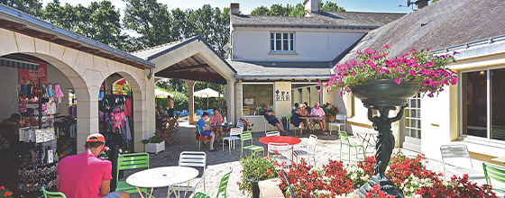 Terrasse du restaurant - Domaine de la Brèche