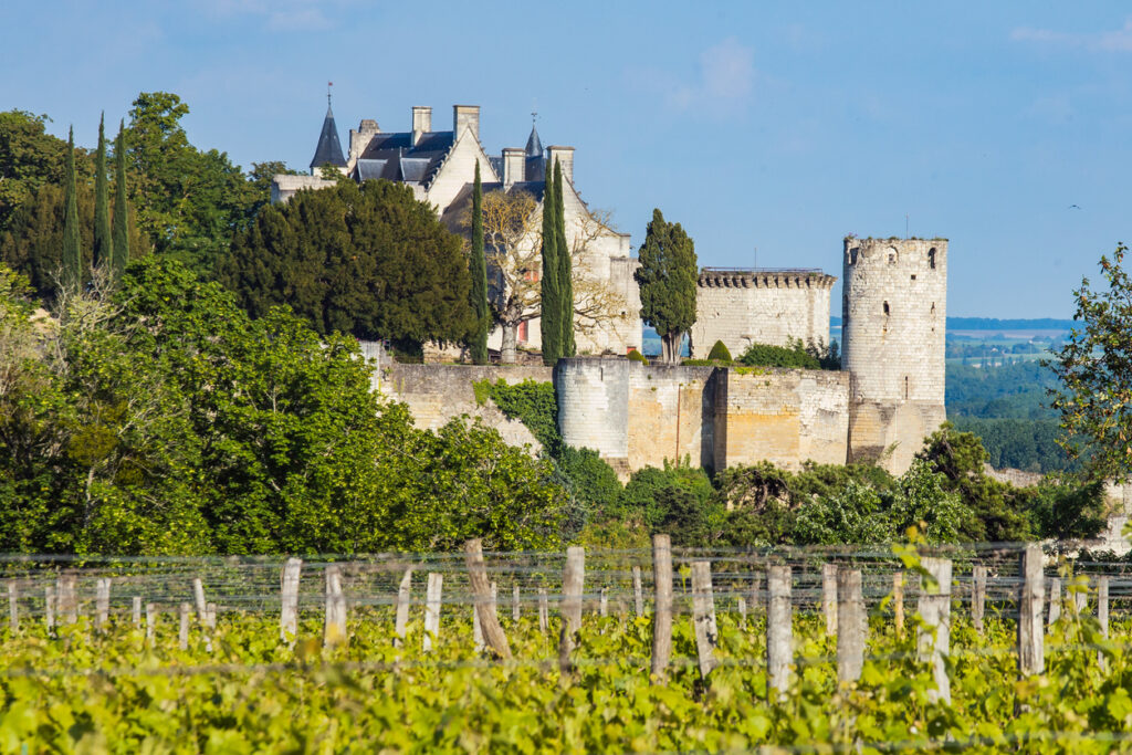 Château de Chinon dans l'Indre-et-Loire - région Pays-de-la-Loire