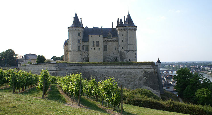 Chateau de la ville de Saumur - Vacances entre nature et culture au Camping le Domaine de la Brèche